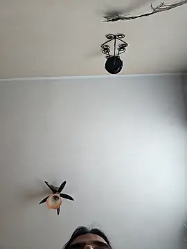 vulpe8400 online show from April 2026 11:09:01 AM