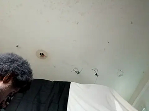 DevinToore online show from December 2025 11:13:02 PM