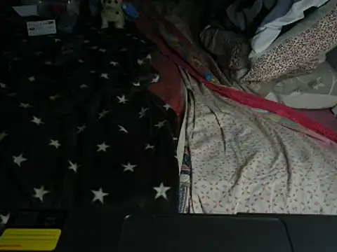 VeneRed online show from February 2026 08:42:02 PM