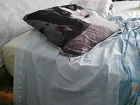 Snapshot of VeneRed chatting on June 2026 02:21:01 PM VeneRed online show from June 2026 02:21:01 PM