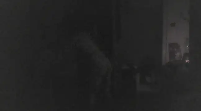 Just Gabriella online show from March 2025 01:18:02 PM