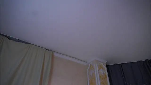 EdlinAlliston online show from February 2026 04:27:02 PM