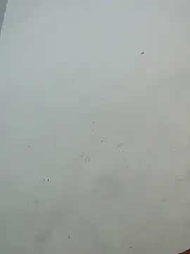 Snapshot of Sania-Love chatting on December 2025 11:11:01 PM Sania-Love online show from December 2025 11:11:01 PM