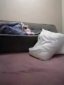 Luci foxx online show from March 2026 01:42:01 AM