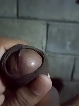 ga213333 online show from November 2025 01:22:02 AM