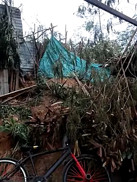 tayson  online show from February 2026 11:36:02 AM