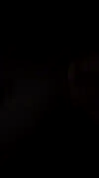 hoot denis28 online show from December 2024 11:23:02 PM