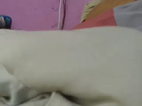 Cheliafun online show from June 2026 01:33:01 PM