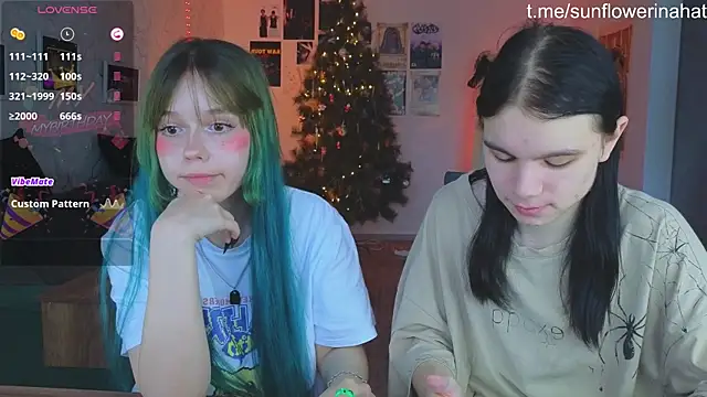 812sunflowerinahat online show from December 2024 09:03:01 AM