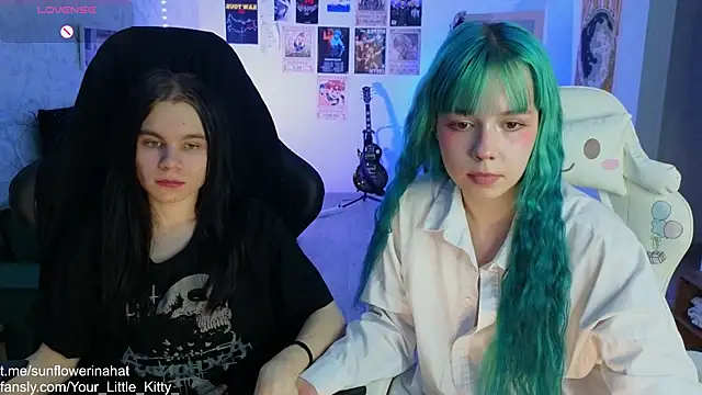 812sunflowerinahat online show from March 2025 02:23:02 PM