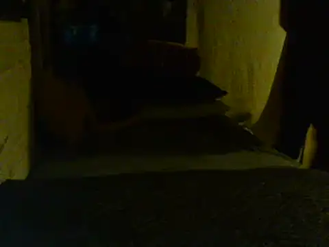 Gman143187 online show from February 2025 09:08:02 AM