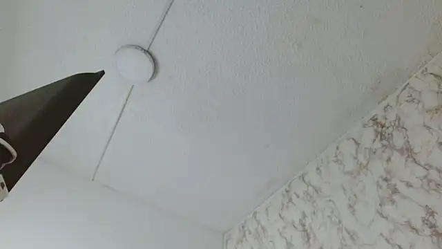 AlexaFontana online show from February 2026 08:00:02 AM