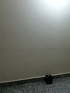 Saroj-Shah online show from April 2026 03:37:02 AM