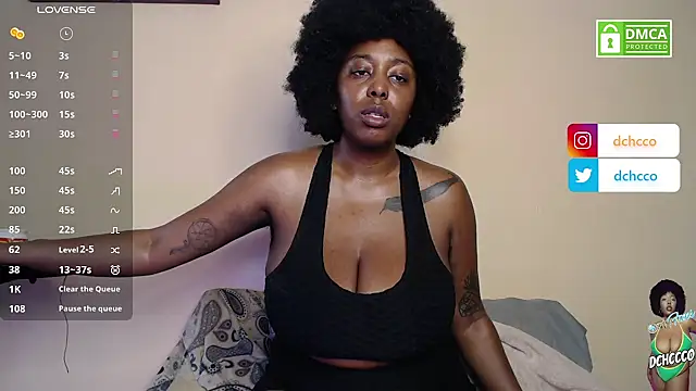 dchcco online show from March 2025 04:33:02 PM