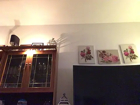 Snapshot of Hannaforyou2 chatting on December 2024 01:59:02 PM Hannaforyou2 online show from December 2024 01:59:02 PM