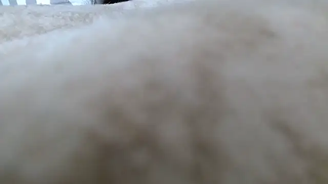 Snapshot of Heracles00 chatting on October 2025 12:49:02 PM Heracles00 online show from October 2025 12:49:02 PM