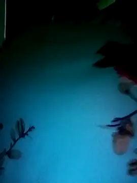 Snapshot of gunjan22 chatting on December 2024 05:22:02 AM gunjan22 online show from December 2024 05:22:02 AM