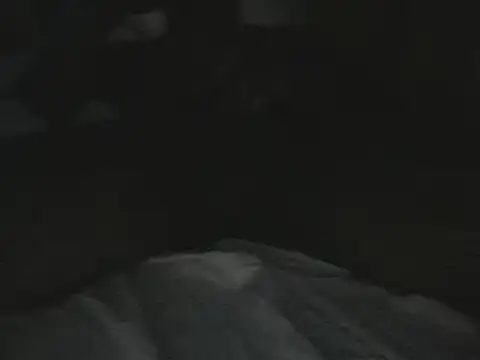 tumarditoperro online show from December 2024 10:01:01 PM