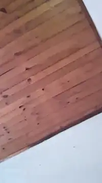 DANIELA MICHEL online show from January 2025 08:41:01 PM