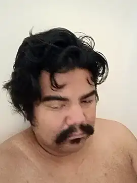 Brickstash online show from November 2025 04:20:01 PM