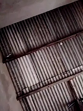 Snapshot of Viny459 chatting on December 2025 08:02:01 PM Viny459 online show from December 2025 08:02:01 PM