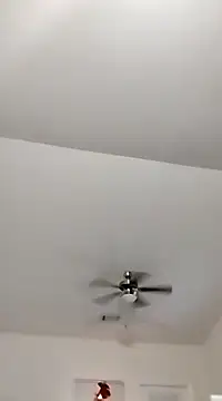 Playmate86 online show from December 2024 04:09:02 AM