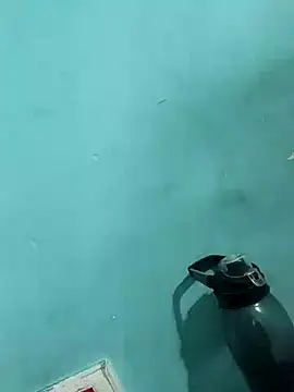 Rani devi88 online show from February 2025 09:43:01 AM