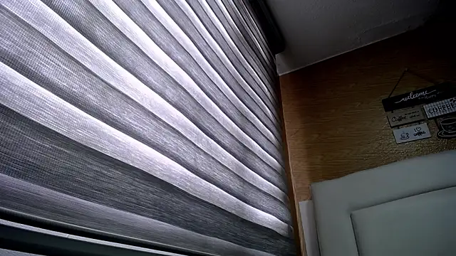 palmer mIix online show from December 2024 03:14:01 PM