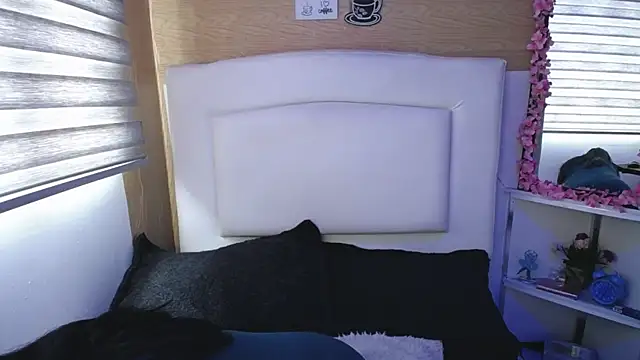 palmer mIix online show from March 2025 01:07:01 PM