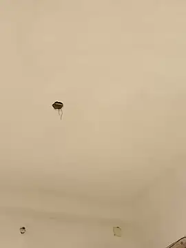 Lexi Baby  online show from December 2024 08:09:01 AM