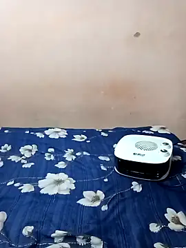 Snapshot of maftel chatting on January 2025 02:33:01 AM maftel online show from January 2025 02:33:01 AM