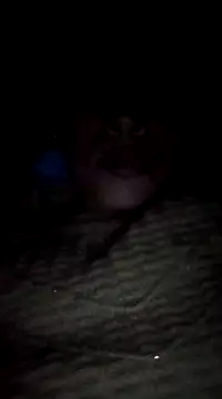 Snapshot of maftel chatting on February 2025 12:57:02 AM maftel online show from February 2025 12:57:02 AM