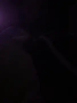 solomec online show from March 2025 10:26:01 PM