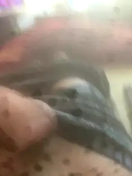 solomec online show from October 2025 07:51:02 AM