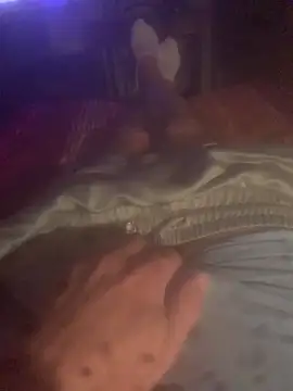 solomec online show from October 2025 08:42:02 PM