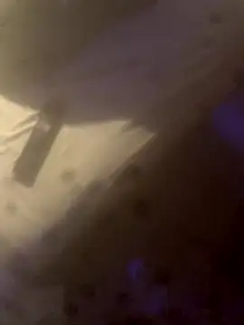 solomec online show from October 2025 06:42:02 PM