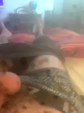 solomec online show from October 2025 06:49:01 AM