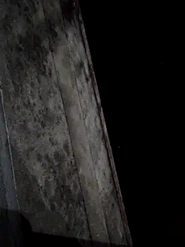 sana14 online show from March 2025 03:05:02 PM