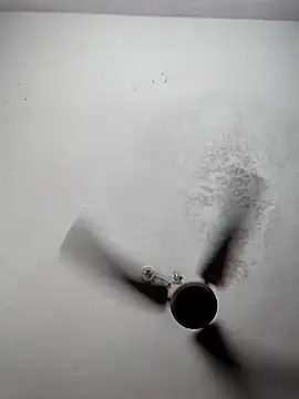 sana14 online show from March 2026 06:23:02 PM