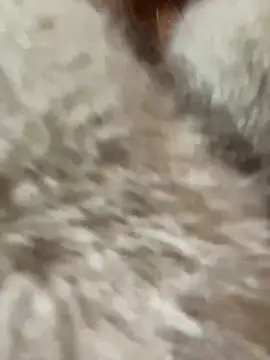 babydolll online show from January 2025 04:30:02 PM