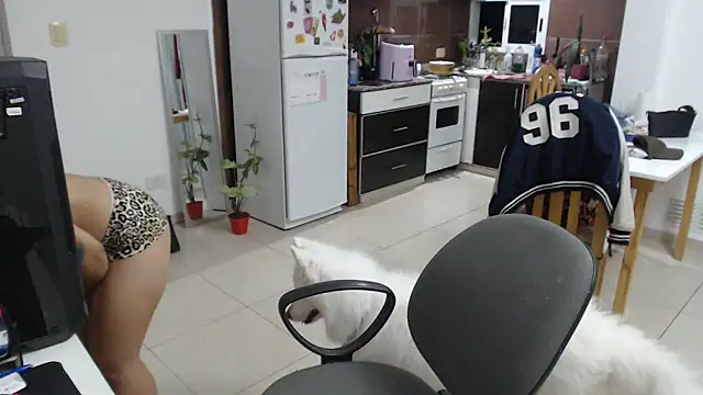 Snapshot of bunnylolaa4 chatting on March 2026 12:26:02 AM bunnylolaa4 online show from March 2026 12:26:02 AM