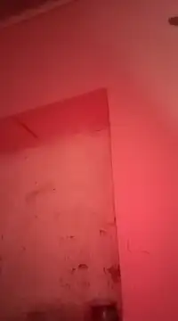 Snapshot of sosarax chatting on January 2025 11:22:02 AM sosarax online show from January 2025 11:22:02 AM