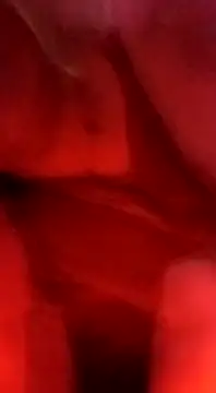 Snapshot of sosarax chatting on February 2025 03:20:01 PM sosarax online show from February 2025 03:20:01 PM