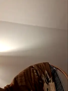 Vasember11xh online show from April 2026 07:26:01 PM