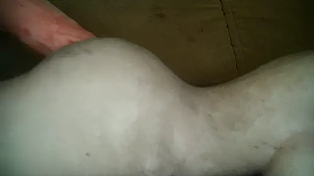 UnaDiosa online show from January 2025 01:42:01 PM