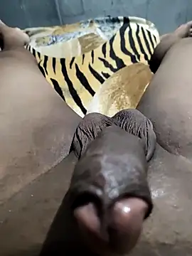 Snapshot of misteriosodoRj chatting on March 2025 12:08:01 AM misteriosodoRj online show from March 2025 12:08:01 AM