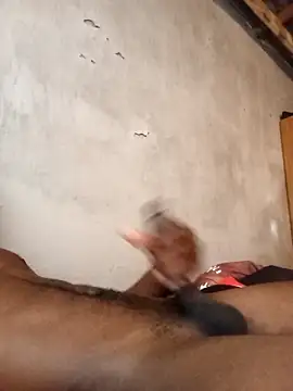 Lexwelll online show from April 2026 09:30:01 AM