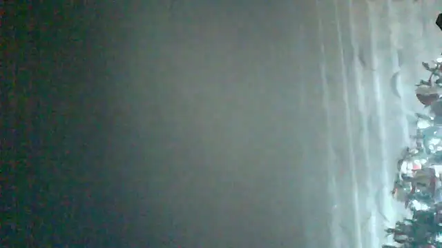 HardWolf2024 online show from December 2024 12:11:02 AM