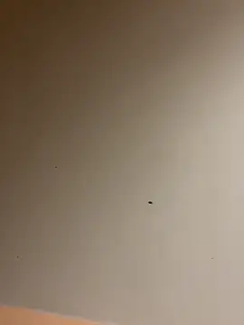 Snapshot of lilyxafterdark chatting on December 2024 08:23:02 AM lilyxafterdark online show from December 2024 08:23:02 AM