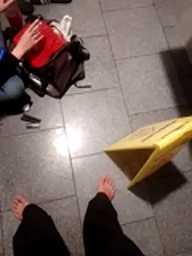 Snapshot of subaru8291 chatting on October 2025 11:55:01 AM subaru8291 online show from October 2025 11:55:01 AM